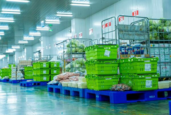 Kho lạnh bảo quản thực phẩm Kho lạnh bảo quản thực phẩm