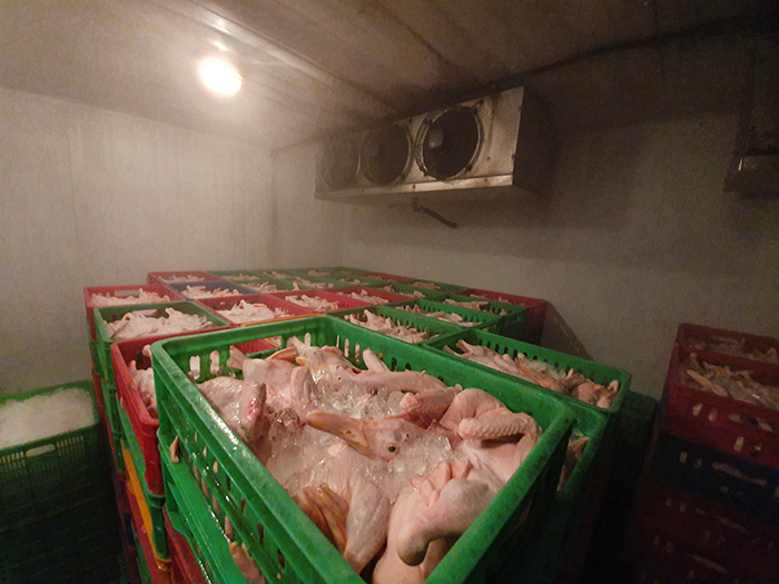 Các Loại Hình Kho Lạnh Phù Hợp Với Bảo Quản Thịt Gà