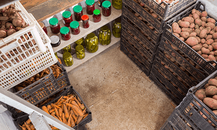 Các Lợi Ích Kinh Tế và Môi Trường của Kho Lạnh Khoai Tây