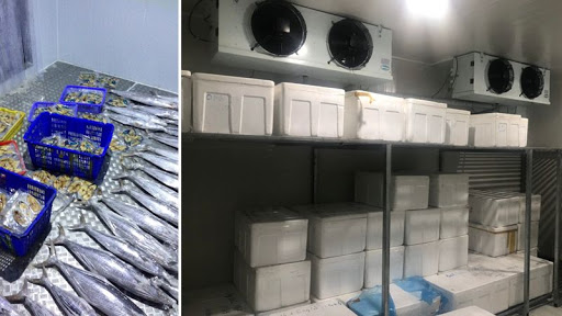 Tầm Quan Trọng của Kho Lạnh Trong Bảo Quản Cá