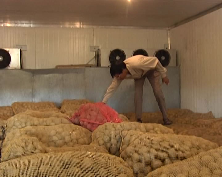 Các Phương Pháp Bảo Quản Khoai Tây Trong Kho Lạnh