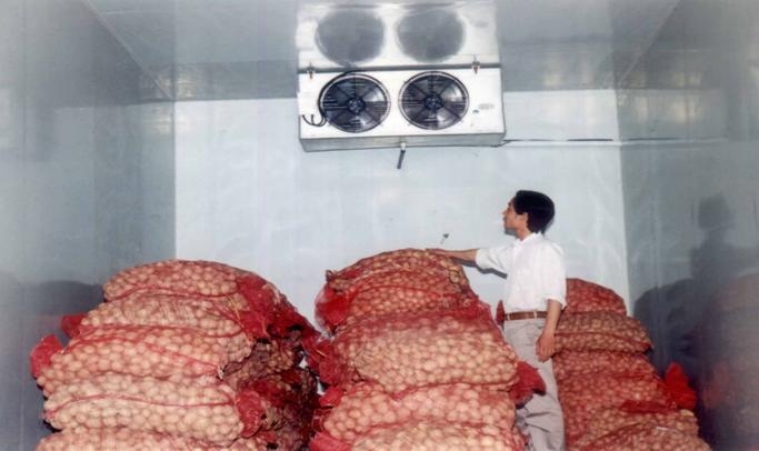 Tầm Quan Trọng của Kho Lạnh Khoai Tây Trong Chuỗi Cung Ứng